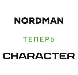 Ikon (Nokian Tyres) Character Eco (Nordman SX3) 195/50R15 82H