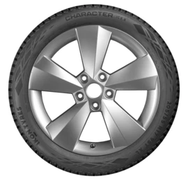Ikon (Nokian Tyres) Character Ice 8 (Nordman 8) 225/45R18 95T