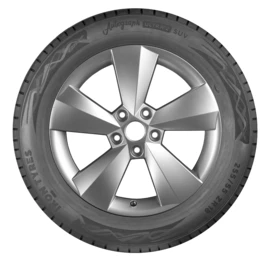 Ikon (Nokian Tyres) Autograph Ultra 2 SUV (Hakka Black 2 SUV) 255/55R19 111W