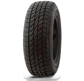 Rapid ECOLANDER 215/70R16 100T
