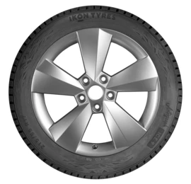 Ikon (Nokian Tyres) Autograph Ice 9 205/65R16 95T