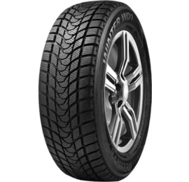 Delinte Winter WD1 215/45R17 91H