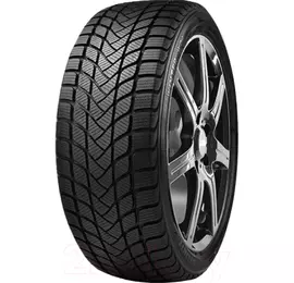 Delinte Winter WD6 195/45R16 84H